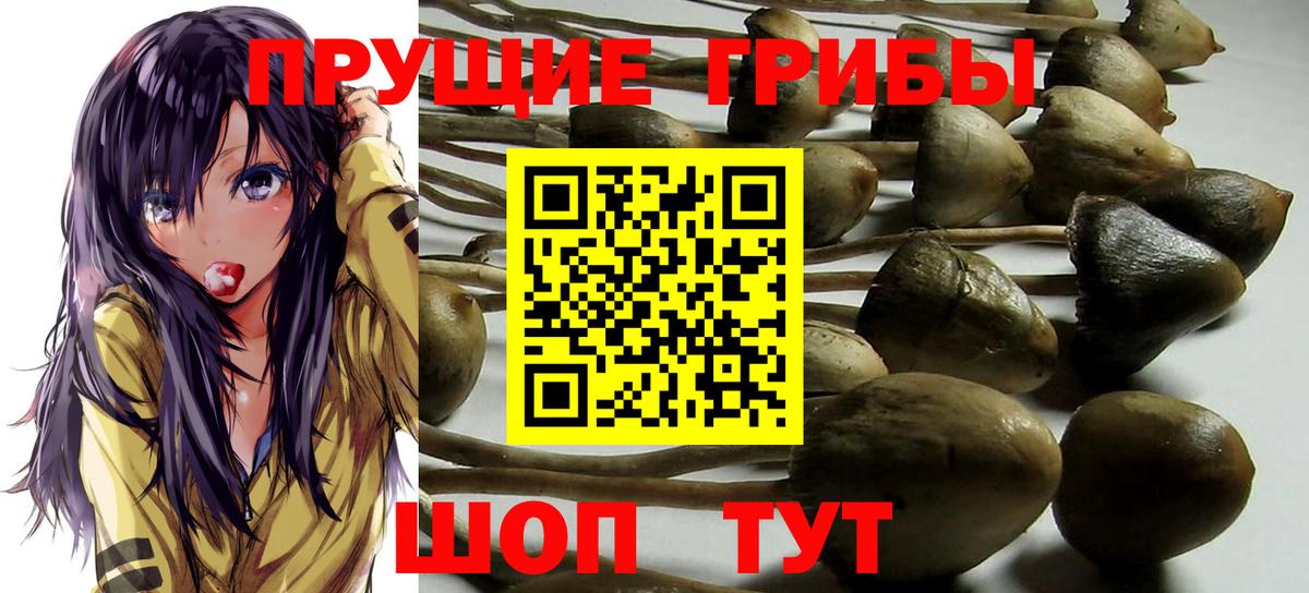 Галлюциногенные грибы GOLDEN TEACHER Лысьва